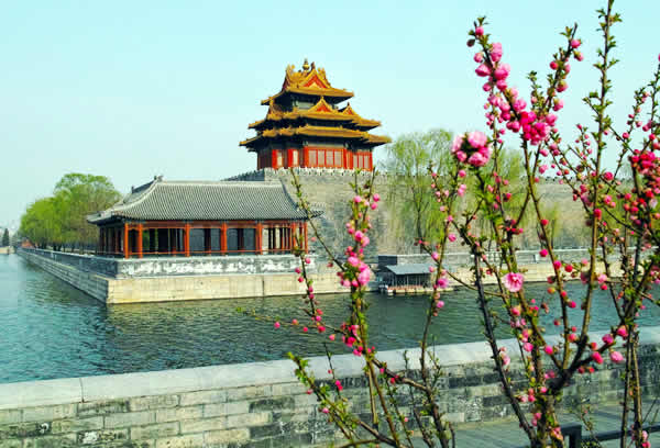 �f(w��n)�\(ch��ng)�C(j��)늾��Ǵ���ж�����