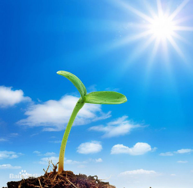 ���đB(t��i)����δ��